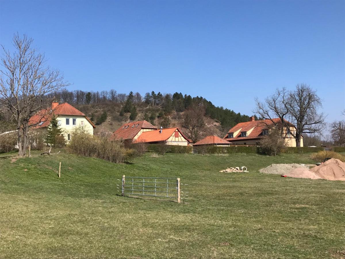 Wandersleben Pension Freudenthal מראה חיצוני תמונה